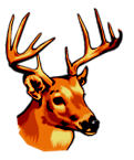 deer_head